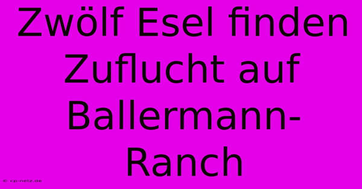 Zwölf Esel Finden Zuflucht Auf Ballermann-Ranch